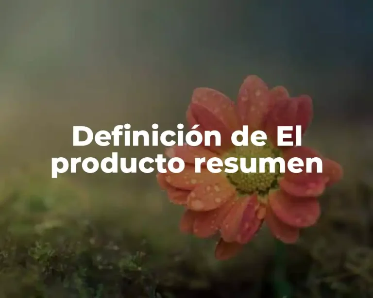 Definición de El producto resumen
