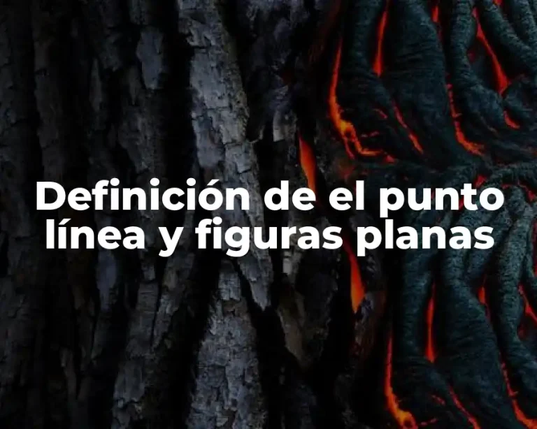 Definición de el punto línea y figuras planas