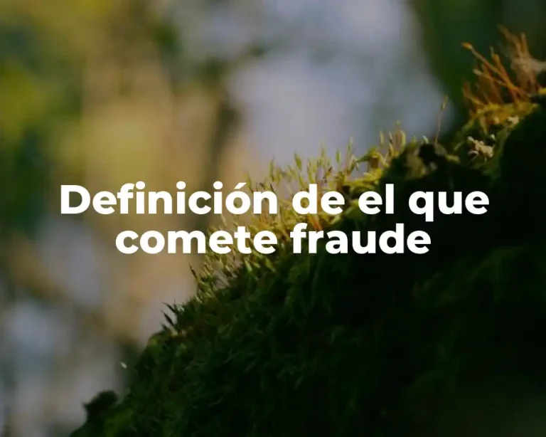 Definición de el que comete fraude