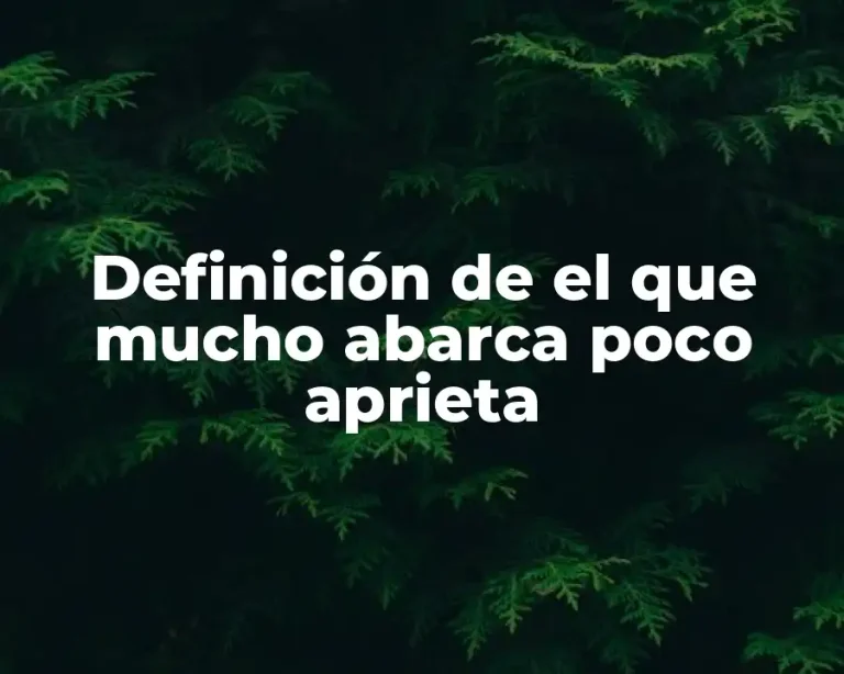 Definición de el que mucho abarca poco aprieta