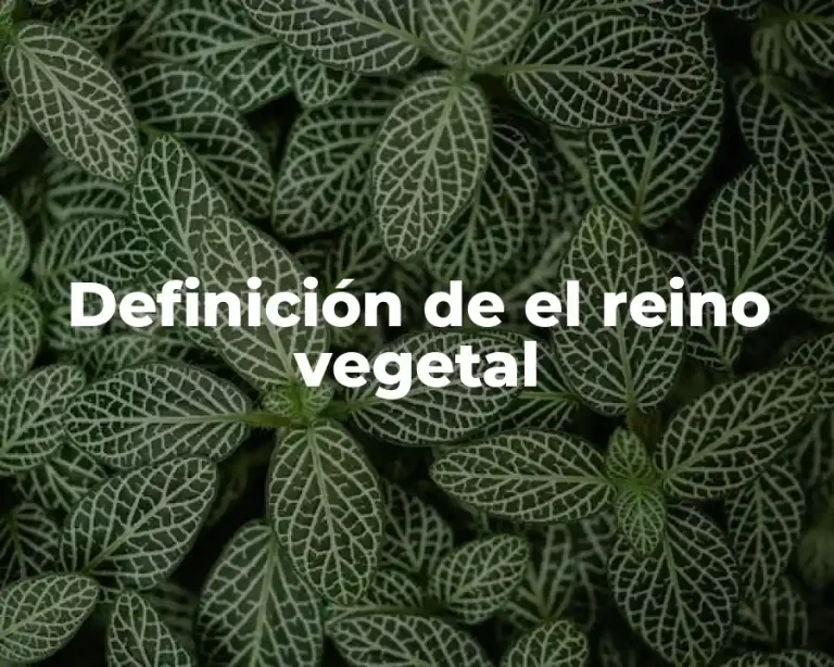 Definición de el reino vegetal