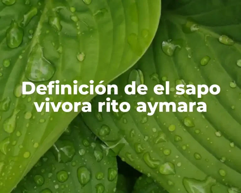 Definición de el sapo vivora rito aymara