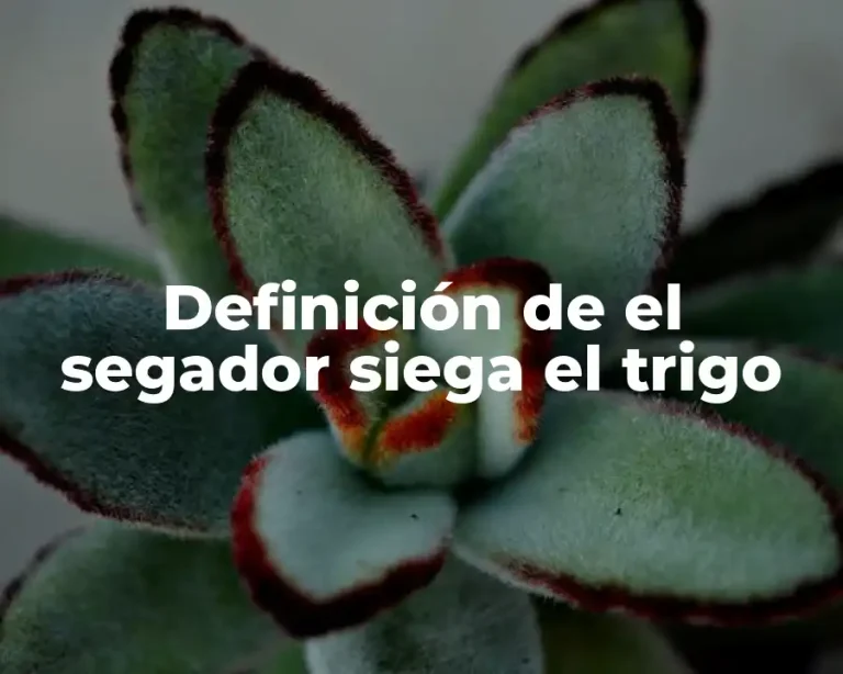 Definición de el segador siega el trigo