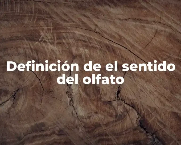 Definición de el sentido del olfato