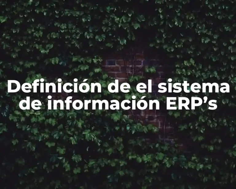 Definición de el sistema de información ERP’s