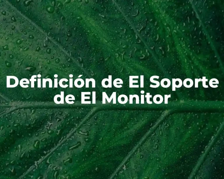 Definición de El Soporte de El Monitor