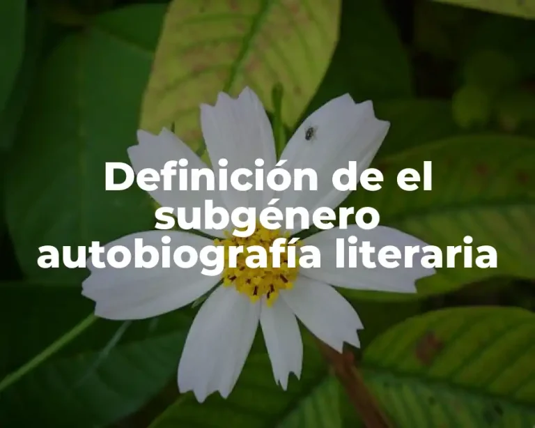 Definición de el subgénero autobiografía literaria
