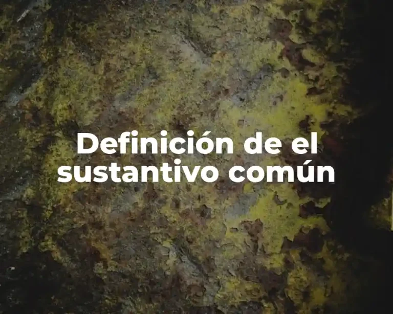 Definición de el sustantivo común