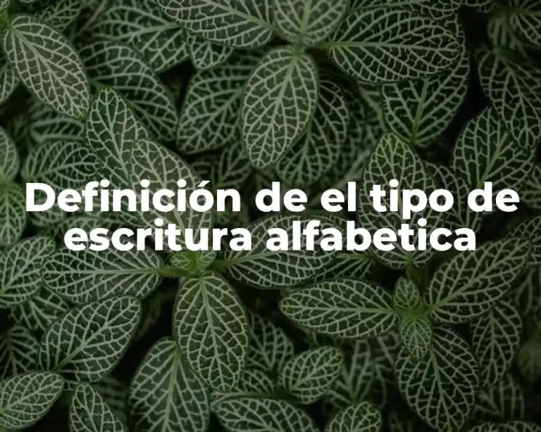 Definición de el tipo de escritura alfabetica