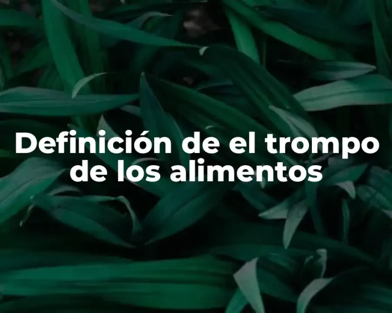 Definición de el trompo de los alimentos