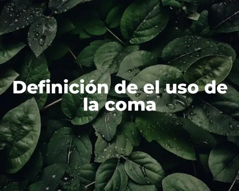 Definición de el uso de la coma