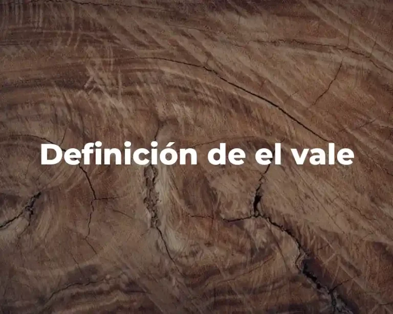 Definición de el vale