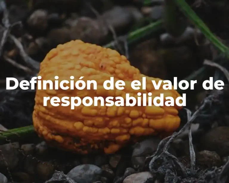 Definición de el valor de responsabilidad