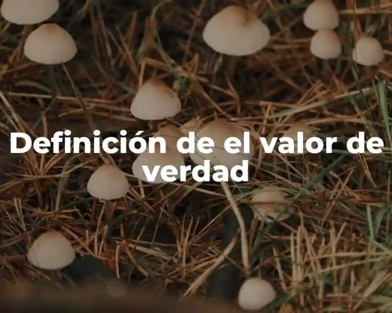 Definición de el valor de verdad