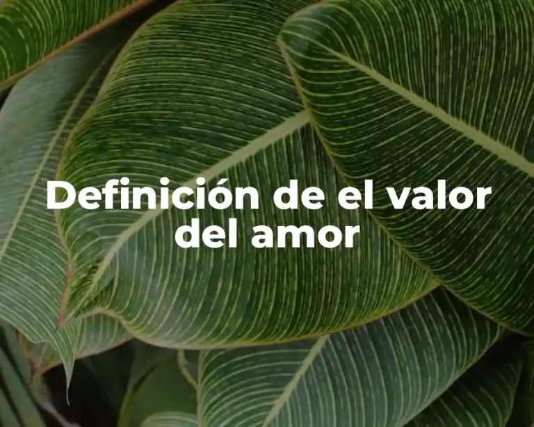 Definición de el valor del amor