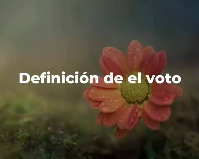 Definición de el voto