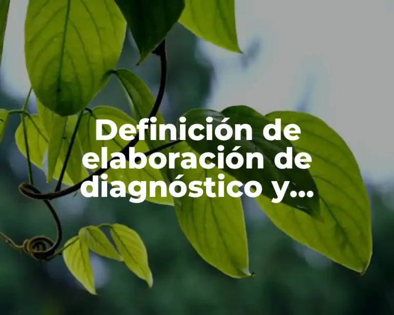 Definición de elaboración de diagnóstico y evaluación de desempeño