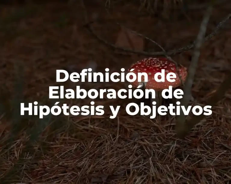 Definición de Elaboración de Hipótesis y Objetivos