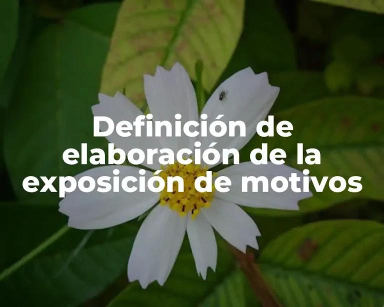 Definición de elaboración de la exposición de motivos