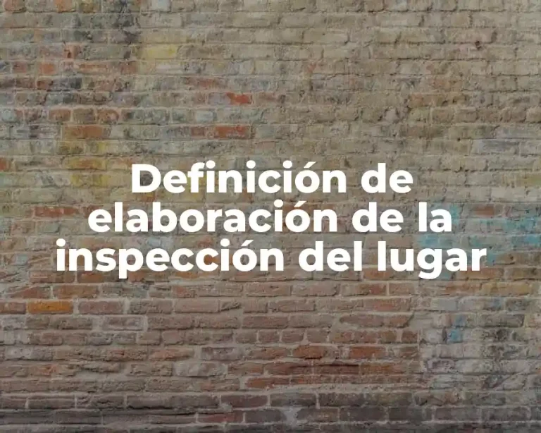 Definición de elaboración de la inspección del lugar