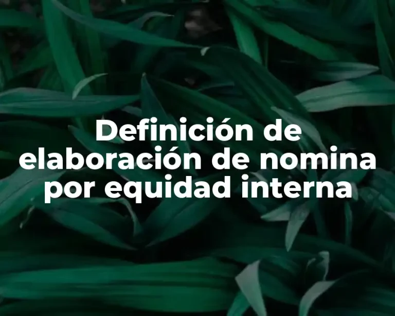 Definición de elaboración de nomina por equidad interna