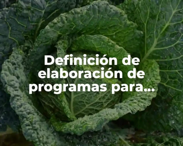 Definición de elaboración de programas para educación media superior