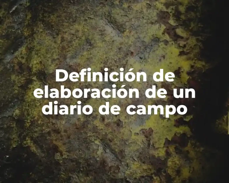 Definición de elaboración de un diario de campo