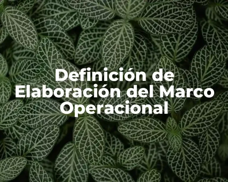 Definición de Elaboración del Marco Operacional