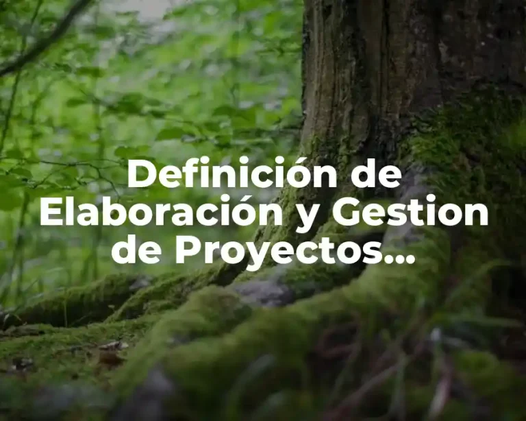 Definición de Elaboración y Gestion de Proyectos Sicioproductivos