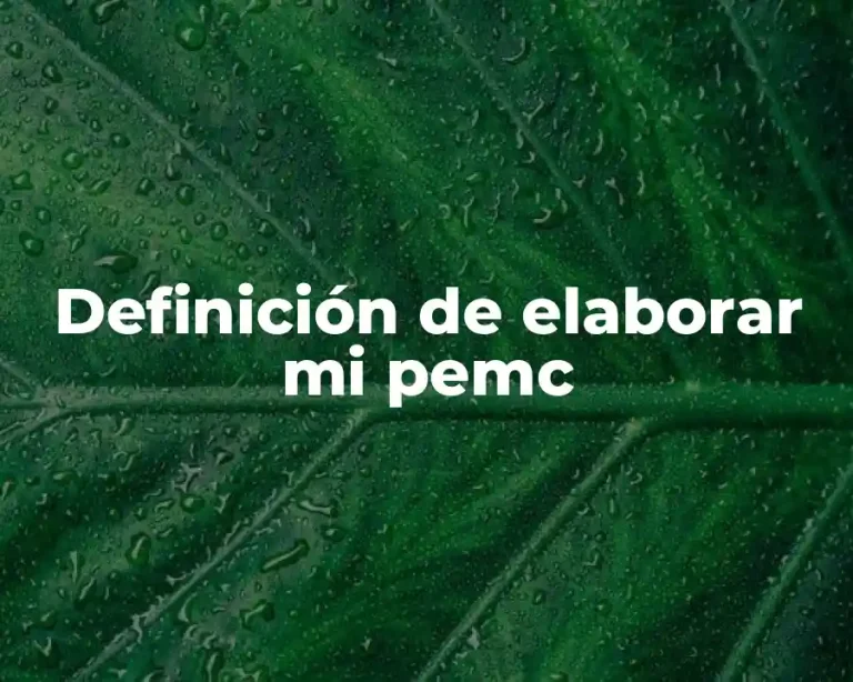 Definición de elaborar mi pemc