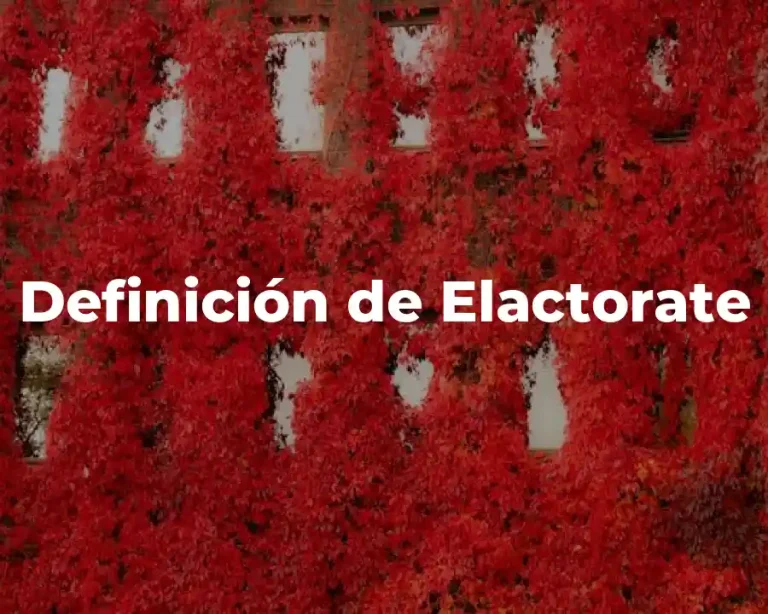 Definición de Elactorate