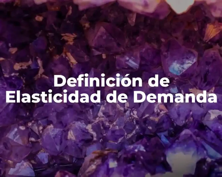 Definición de Elasticidad de Demanda