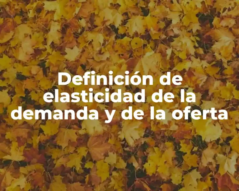 Definición de elasticidad de la demanda y de la oferta