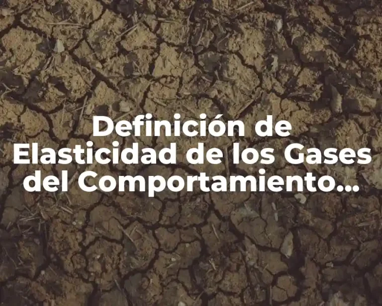 Definición de Elasticidad de los Gases del Comportamiento Molecular