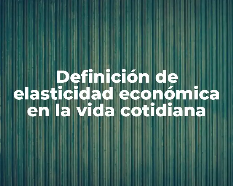 Definición de elasticidad económica en la vida cotidiana
