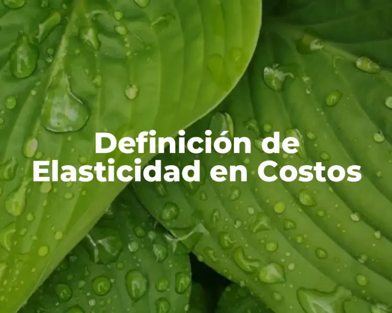 Definición de Elasticidad en Costos