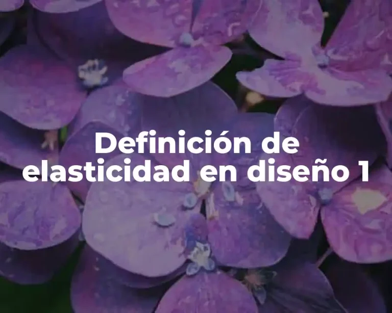 Definición de elasticidad en diseño 1