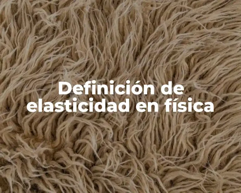 Definición de elasticidad en física