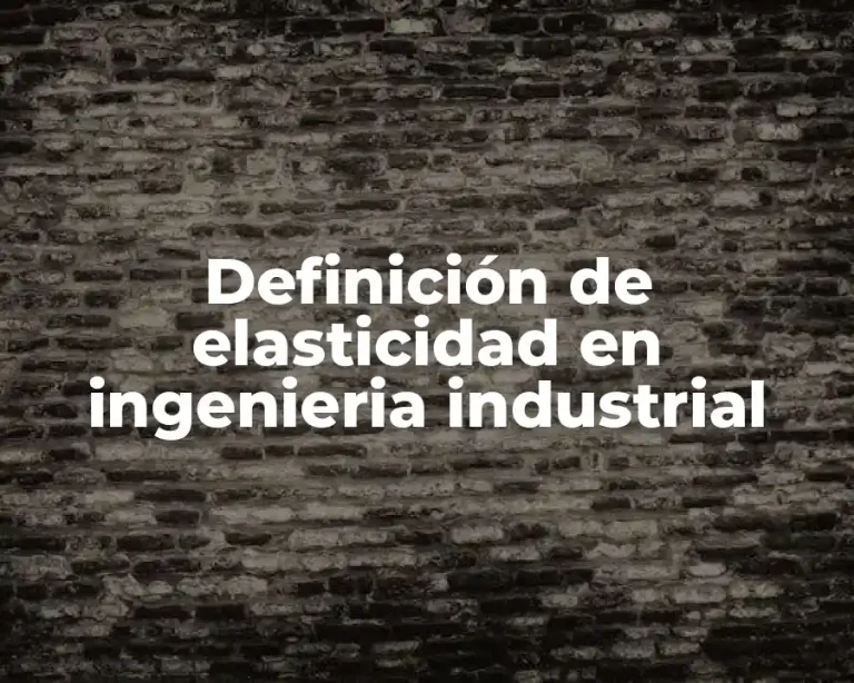 Definición de elasticidad en ingenieria industrial