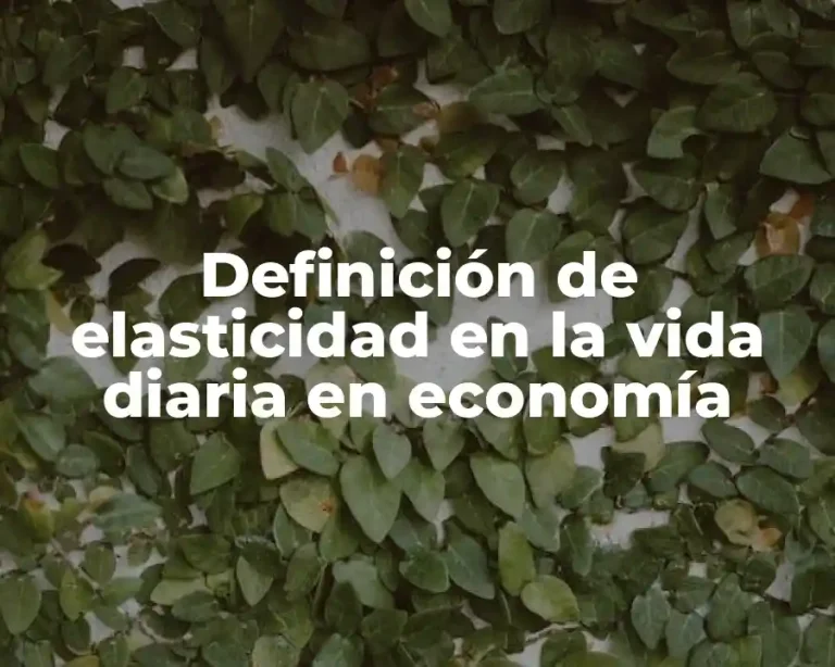 Definición de elasticidad en la vida diaria en economía