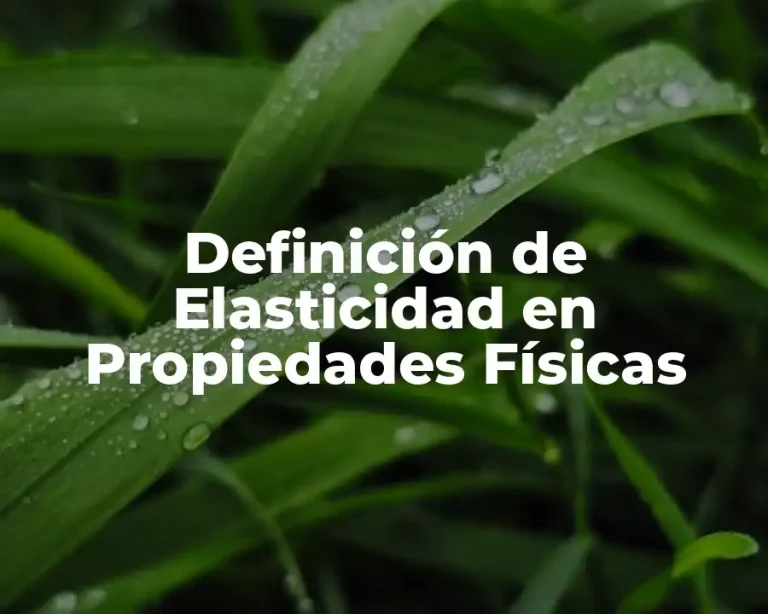Definición de Elasticidad en Propiedades Físicas