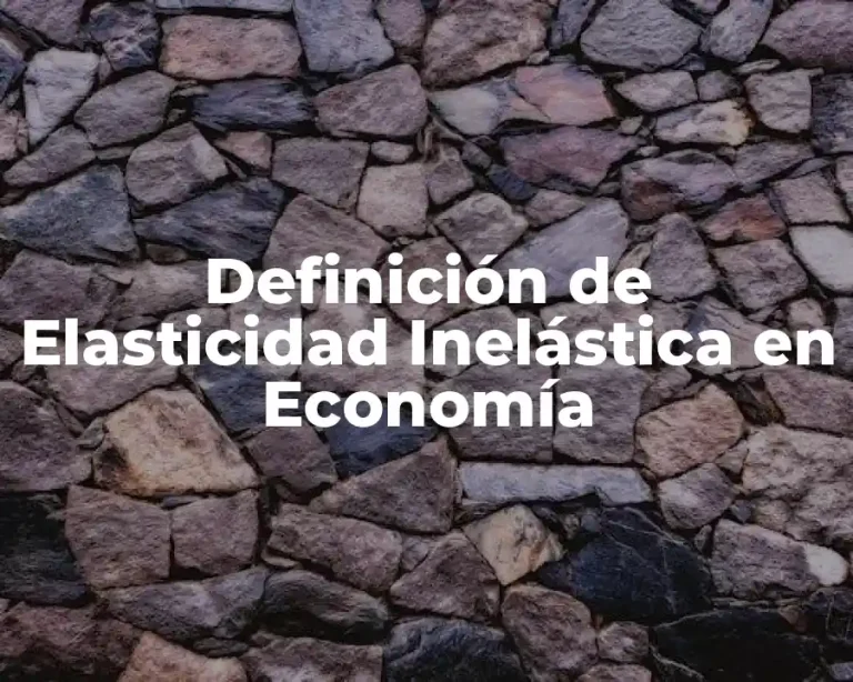 Definición de Elasticidad Inelástica en Economía