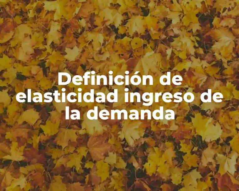 Definición de elasticidad ingreso de la demanda