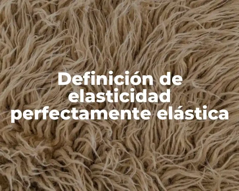 Definición de elasticidad perfectamente elástica