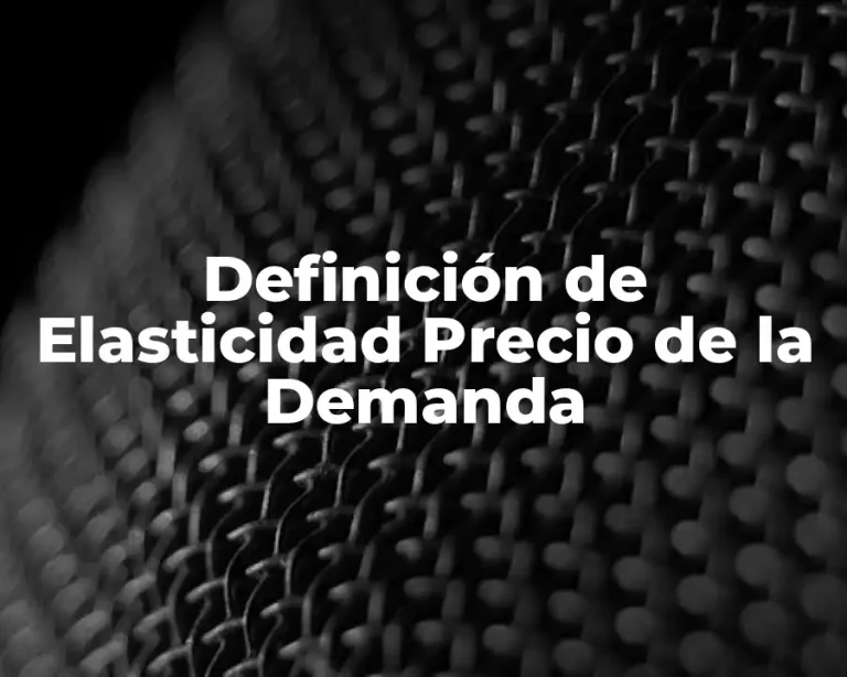 Definición de Elasticidad Precio de la Demanda
