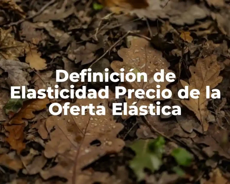 Definición de Elasticidad Precio de la Oferta Elástica
