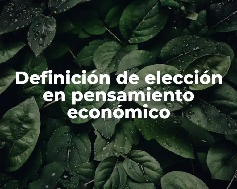 Definición de elección en pensamiento económico