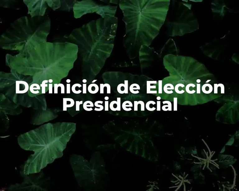 Definición de Elección Presidencial