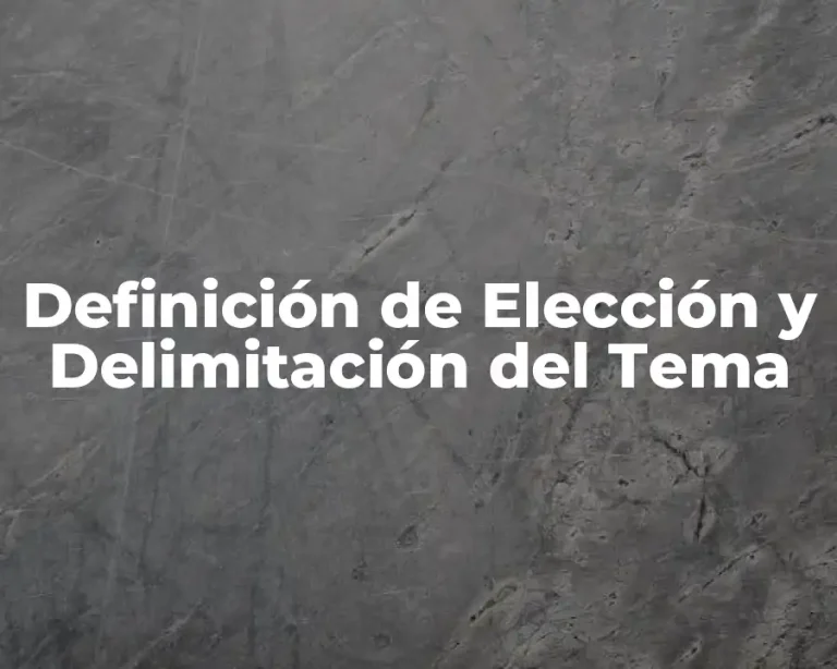 Definición de Elección y Delimitación del Tema
