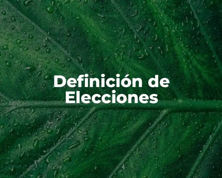 Definición de Elecciones
